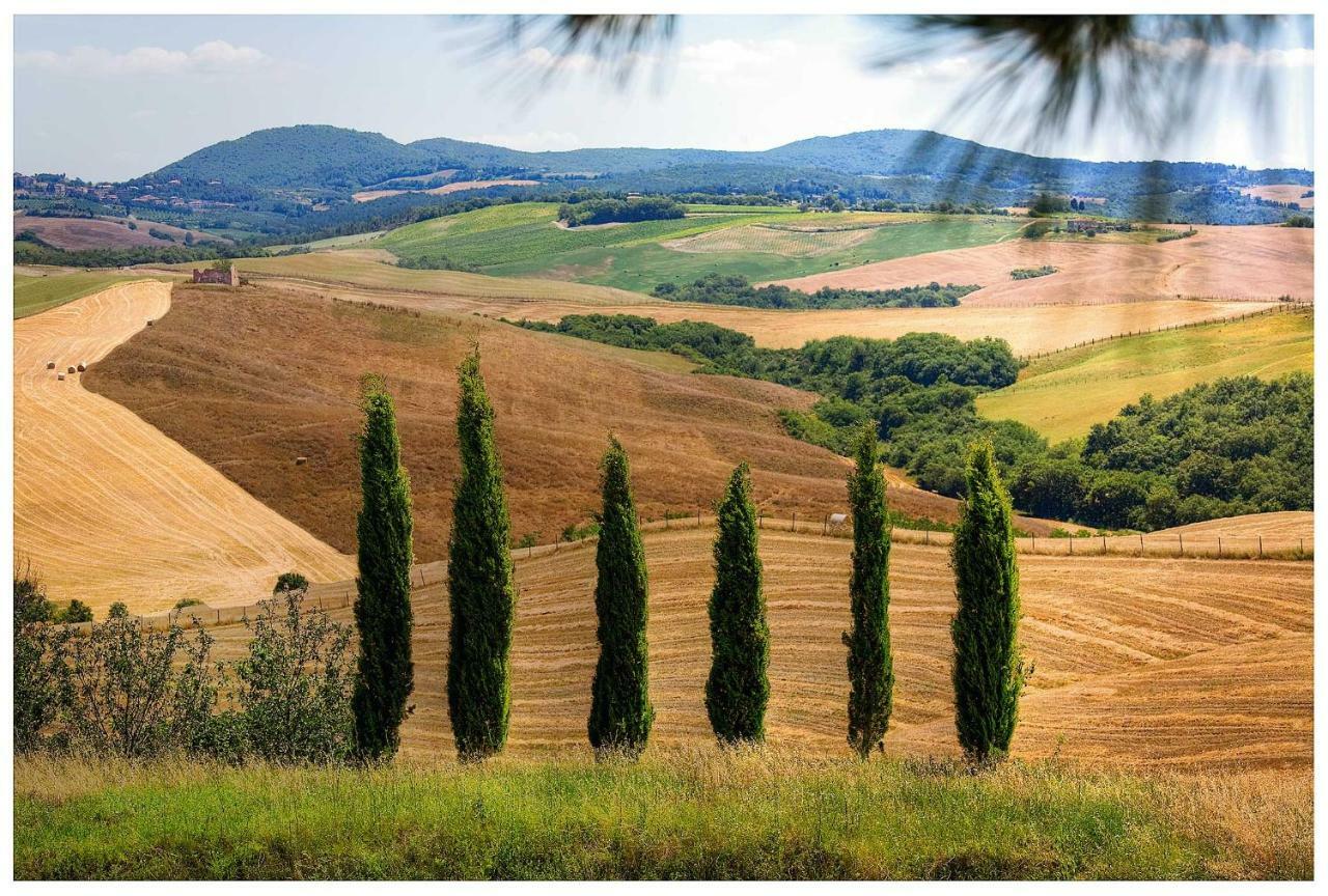 Agriturismo Podernuovo Asciano Eksteriør billede