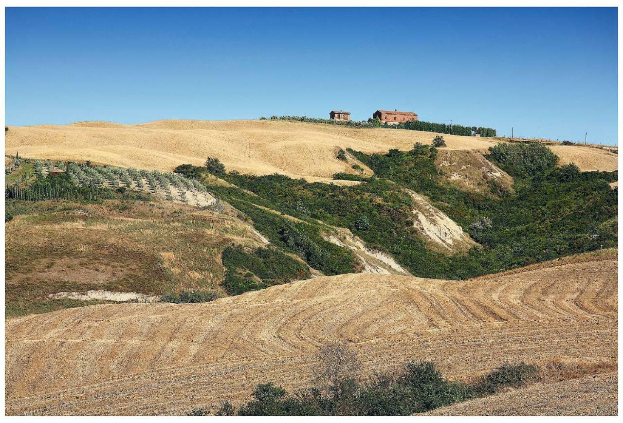 Agriturismo Podernuovo Asciano Eksteriør billede